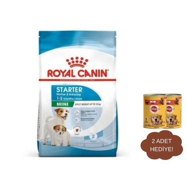 Royal Canin Mini Starter Yavru Köpek Maması 4 kg