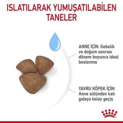 Royal Canin Mini Starter Yavru Köpek Maması 4 kg