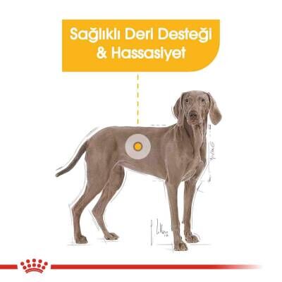Royal Canin Ccn Maxi Dermacomfort Yetişkin Köpek Maması 12 kg