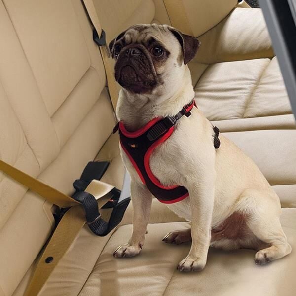 Ferplast Dog Travel Belt Araç Emniyet Kemeri