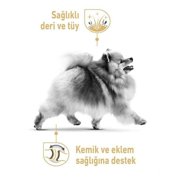 Royal Canin Pomeranian Yetişkin Köpek Maması 3 Kg