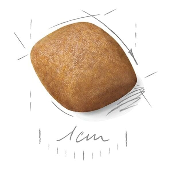 Royal Canin Pomeranian Yetişkin Köpek Maması 3 Kg