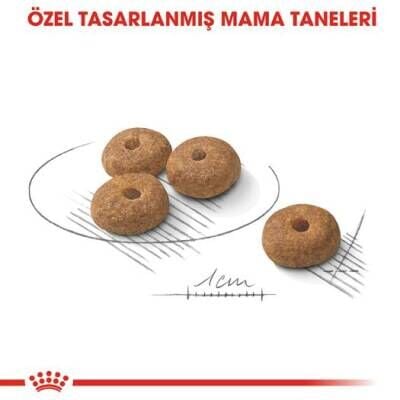 Royal Canin CCN Mini Sterilised Kısırlaştırılmış Yetişkin Köpek Maması 3 kg