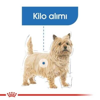 Royal Canin Mini Light Küçük Irk Köpekler İçin Diyet Mama 3 kg