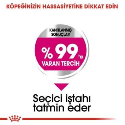 Royal Canin Mini Exigent Yetişkin Köpek Maması 3 kg