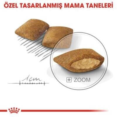 Royal Canin Mini Exigent Yetişkin Köpek Maması 3 kg