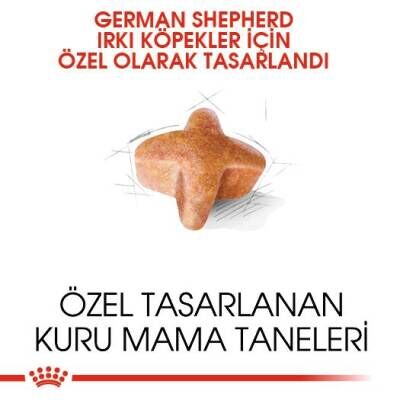 Royal Canin German Shepherd Adult Alman Kurduna Özel Yetişkin Köpek Maması 11 kg