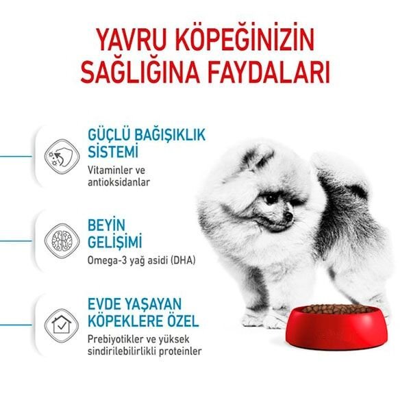 Royal Canin Puppy Mini Indoor Yavru Köpek Maması 1,5Kg