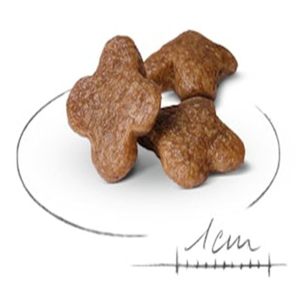 Royal Canin Mini Adult +8 Küçük Irk Yaşlı Köpek Maması 2 Kg