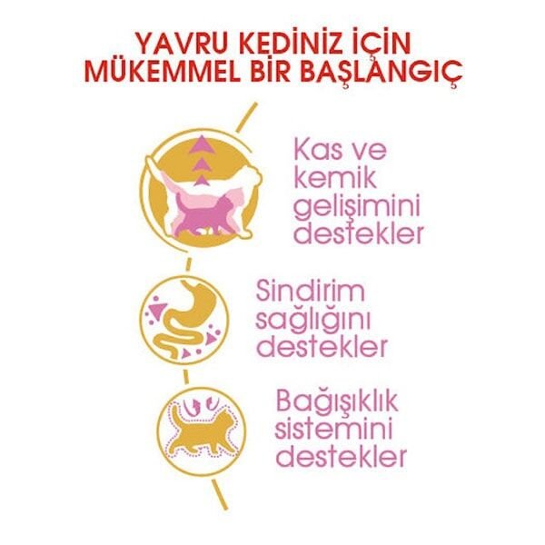 Royal Canin British Shorthair Kitten Yavru Kedi Maması 2 Kg