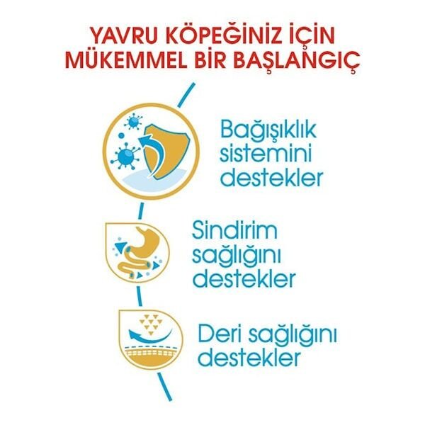 Royal Canin French Bulldog Junior Yavru Köpek Maması 3 Kg