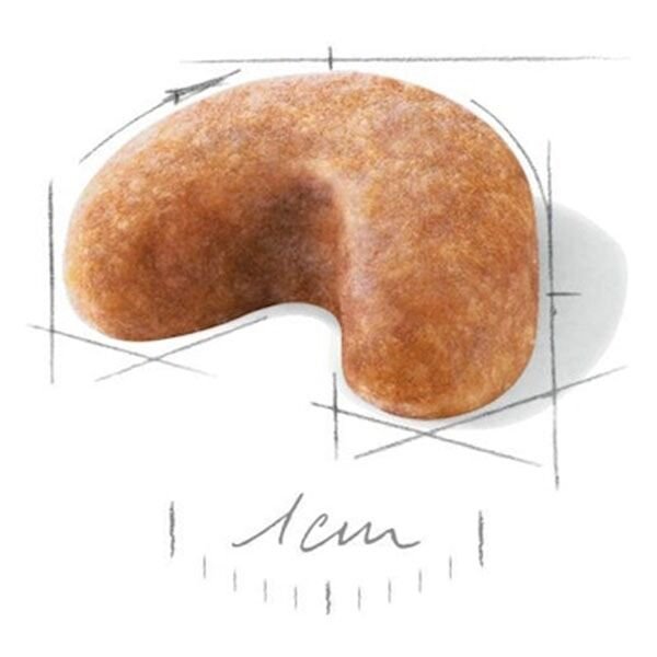 Royal Canin French Bulldog Junior Yavru Köpek Maması 3 Kg