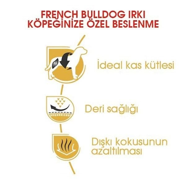 Royal Canin French Bulldog Yetişkin Köpek Maması 3 Kg