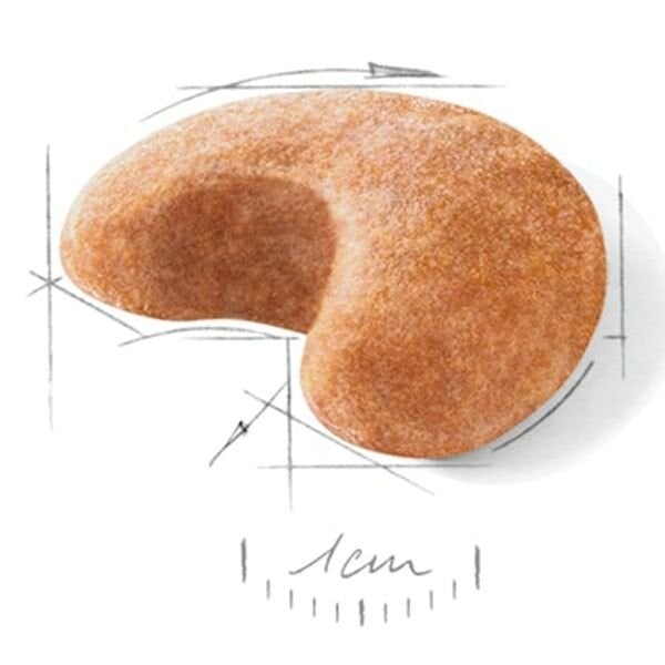 Royal Canin French Bulldog Yetişkin Köpek Maması 3 Kg