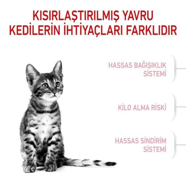 Royal Canin Sterilised Kitten Kısırlaştırılmış Yavru Kedi Maması 2 Kg
