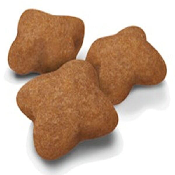 Royal Canin Sterilised Kitten Kısırlaştırılmış Yavru Kedi Maması 2 Kg