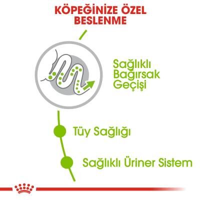 Royal Canin XS Adult Küçük Irk Yetişkin Köpek Maması 1,5 kg