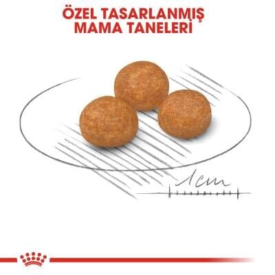Royal Canin XS Adult Küçük Irk Yetişkin Köpek Maması 1,5 kg