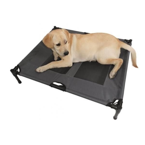 M-Pets Elevated Kedi ve Köpek Yatağı Medium 76x61x18cm