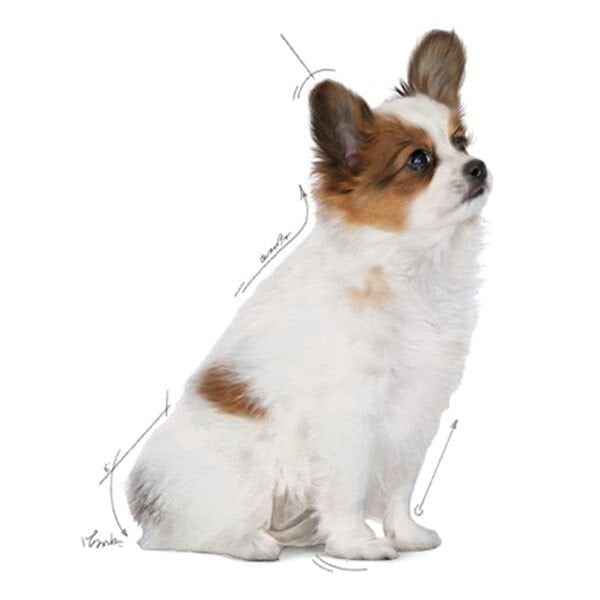 Royal Canin XSmall Puppy Yavru Köpek Maması 1,5 Kg