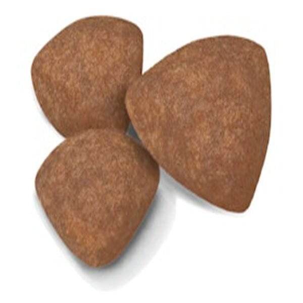 Royal Canin Mini Puppy Yavru Köpek Maması 4 Kg