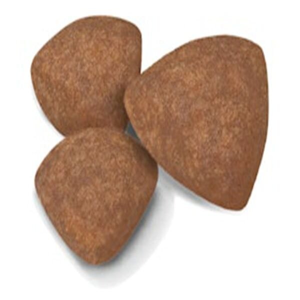 Royal Canin Mini Puppy Yavru Köpek Maması 4 Kg