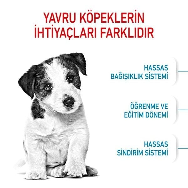 Royal Canin Mini Puppy Yavru Köpek Maması 2 Kg