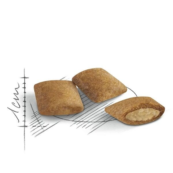 Royal Canin Senior Ageing 12+ Yaşlı Kedi Maması 2Kg