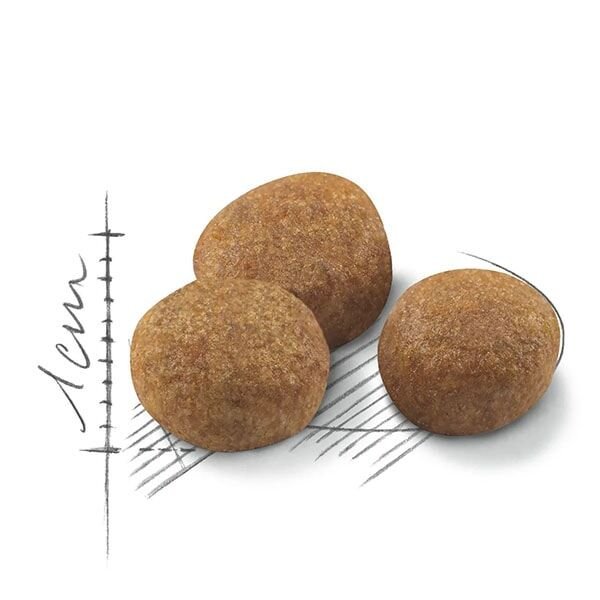 Royal Canin Sterilised +7 Kısırlaştırılmış Yaşlı Kedi Maması 3,5 Kg