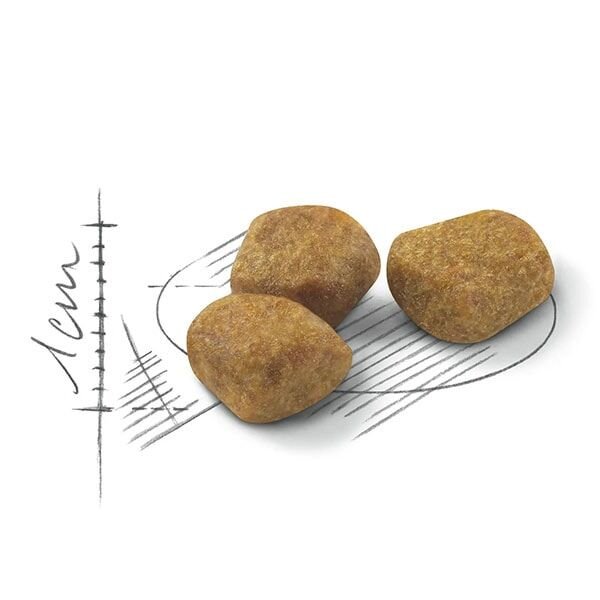 Royal Canin Home Indoor 7+ Yaşlı Kedi Maması 3,5Kg