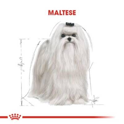 Royal Canin Maltese Terrier Adult Köpek Maması 1,5 kg