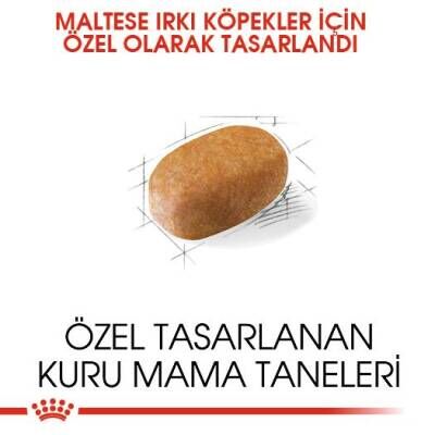 Royal Canin Maltese Terrier Adult Köpek Maması 1,5 kg