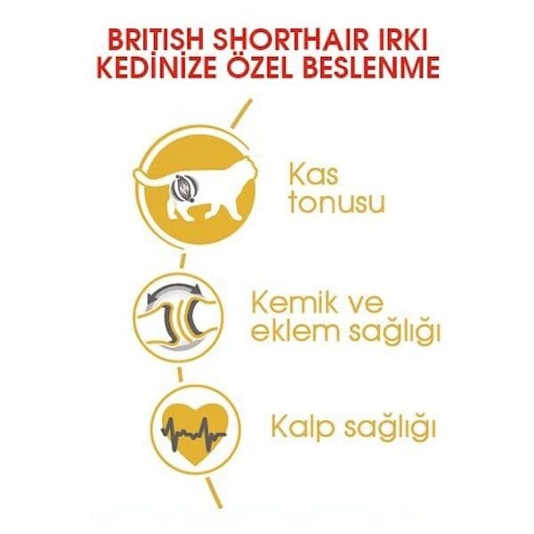 Royal Canin British Shorthair Yetişkin Kedi Maması 4 Kg