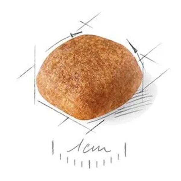 Royal Canin Adult Cavalier King Charles Yetişkin Köpek Maması 1,5Kg