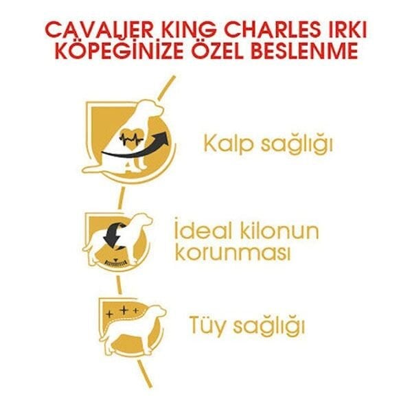 Royal Canin Adult Cavalier King Charles Yetişkin Köpek Maması 1,5Kg