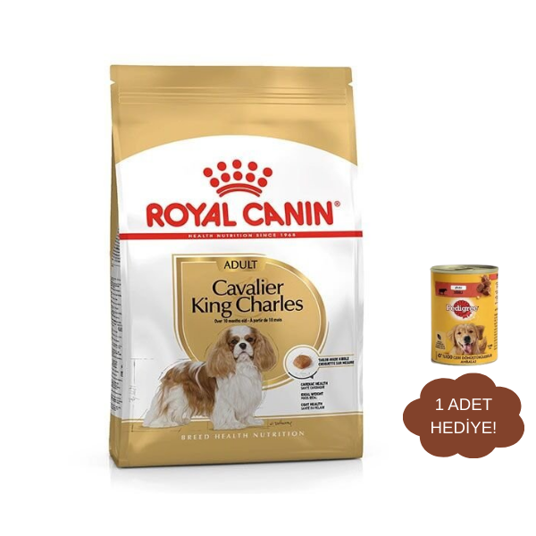 Royal Canin Adult Cavalier King Charles Yetişkin Köpek Maması 1,5Kg