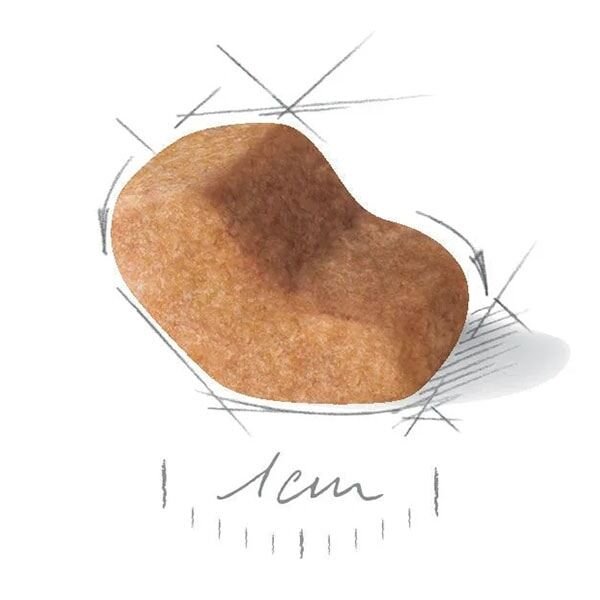 Royal Canin Adult Shih Tzu Yetişkin Köpek Maması 1,5Kg