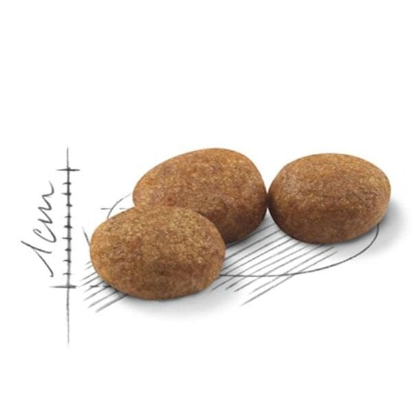 Royal Canin Sterilised 37 Kısırlaştırılmış Kedi Maması 4 Kg