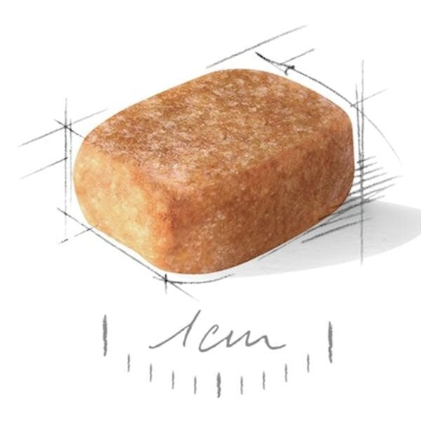 Royal Canin Chihuahua Yetişkin Köpek Maması 1,5 Kg