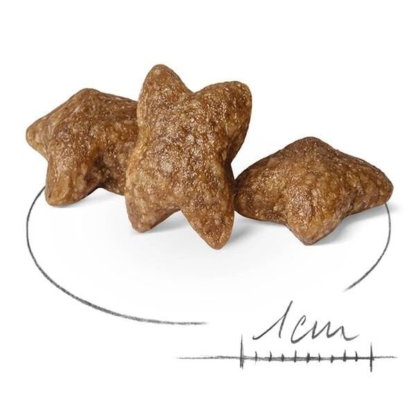 Royal Canin Mini Adult Yetişkin Köpek Maması 4 Kg