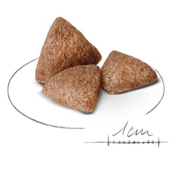 Royal Canin Mini Indoor Küçük Irk Yetişkin Köpek Maması 1,5Kg