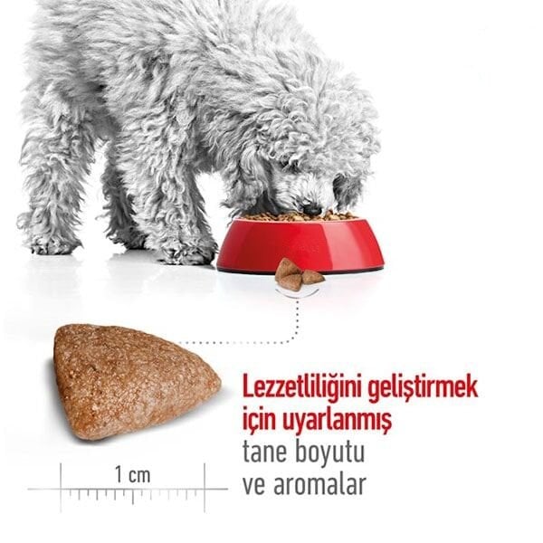 Royal Canin Mini Indoor Küçük Irk Yetişkin Köpek Maması 1,5Kg