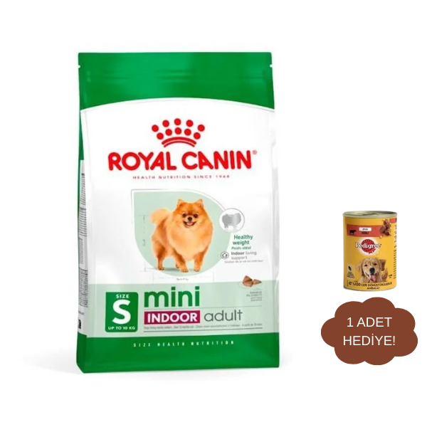 Royal Canin Mini Indoor Küçük Irk Yetişkin Köpek Maması 1,5Kg