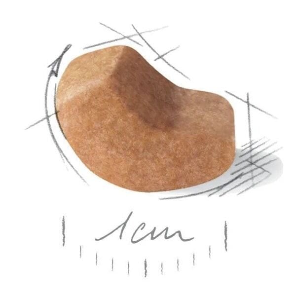 Royal Canin Puppy Shih Tzu Yavru Köpek Maması 1,5Kg