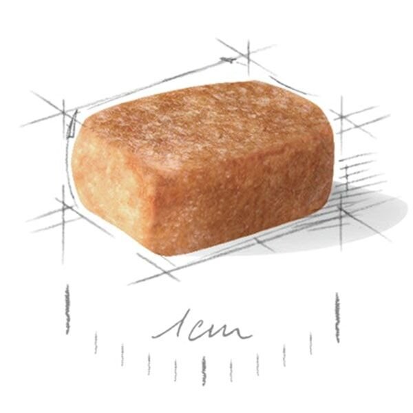 Royal Canin Puppy Chihuahua Yavru Köpek Maması 1,5Kg