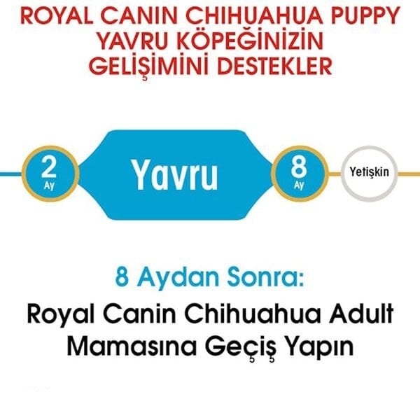 Royal Canin Puppy Chihuahua Yavru Köpek Maması 1,5Kg