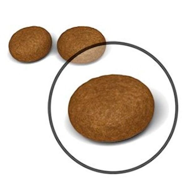 Royal Canin Hair Skin Hassas Tüylü Yetişkin Kedi Maması 4Kg