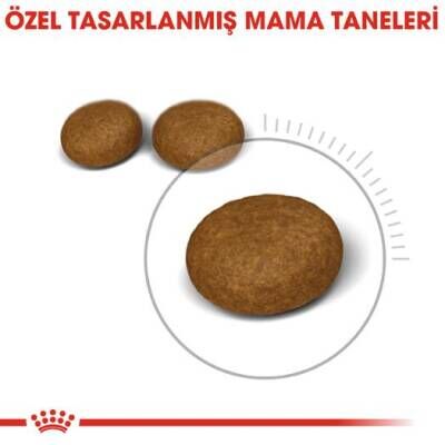 Royal Canin Hair & Skin Hassas Tüylü Kediler İçin Mama 2 kg