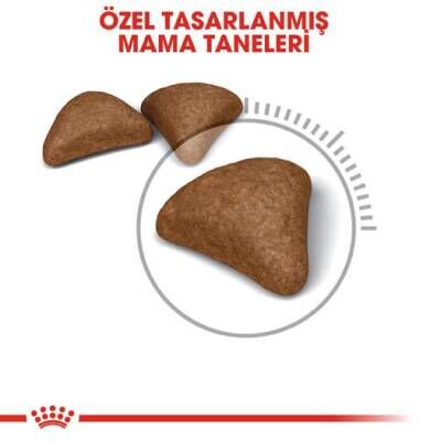 Royal Canin Hairball Tüy Yumağı İçin Kedi Maması 34 2 kg