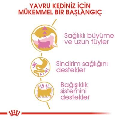 Royal Canin Kitten Persian 32 Yavru Iran Kedilerine Özel Mama 2 kg